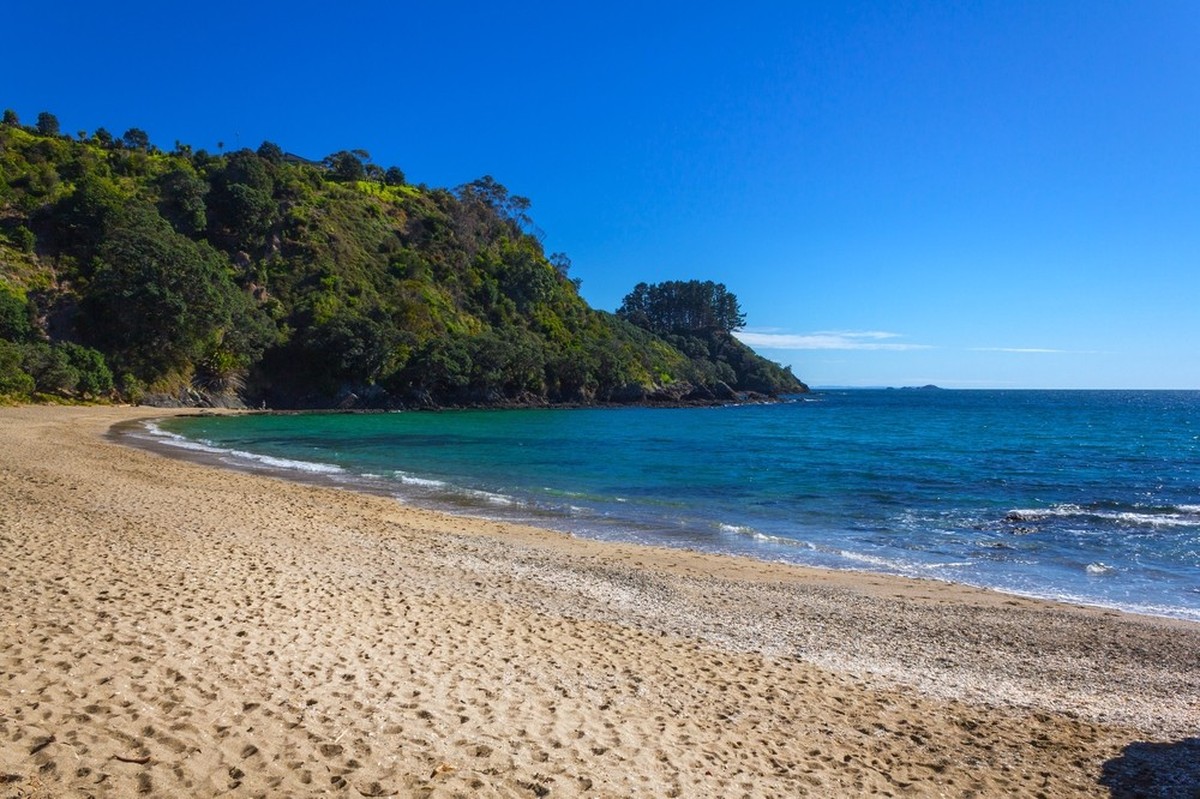 Little Palm Beach, Waiheke, Nouvelle Zélande