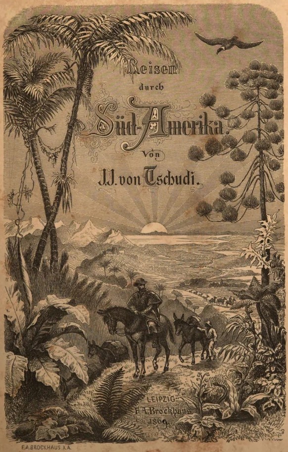 Frontspitz des Buches «Reise durch Südamerika», 1869.
