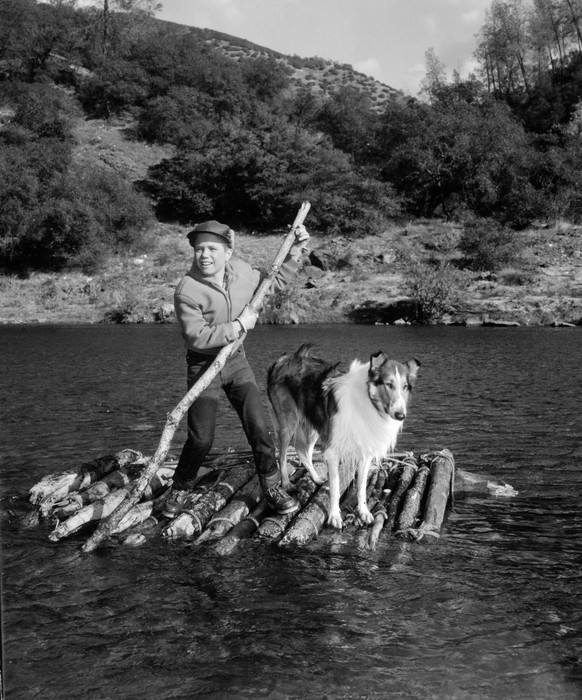 Jon Provost and Lassie the Dog in Lassie (1954)