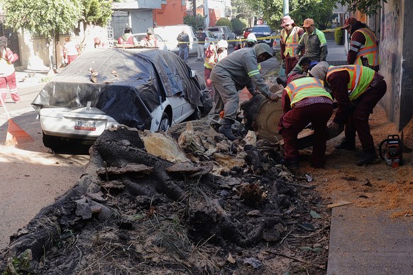 epa12621888 Workers remove a tree that fell onto a vehicle following an earthquake in Mexico City, Mexico, 02 January 2026. According to the National Seismological Service (SSN), a 6.5 magnitude earth ...
