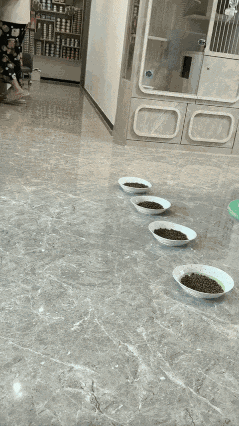 Animiertes GIF