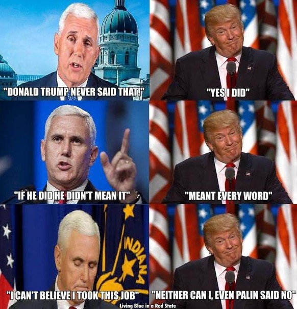 Auch wenn sie sich nicht als US-Präsidenten eignen, als Memes sind Trump und Biden perfekt\nnoch einen