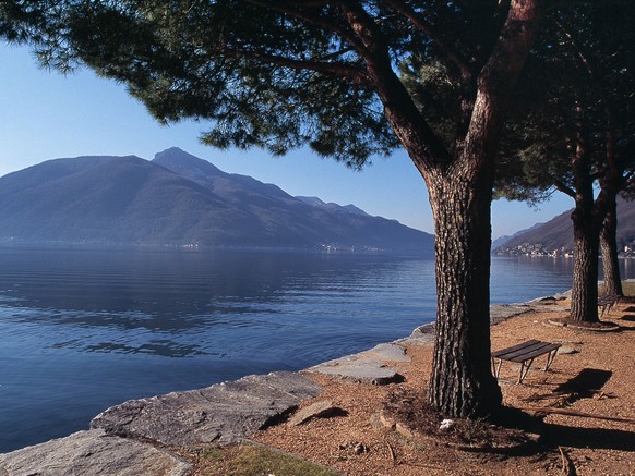 Southward view of the World Heritage Site Monte San Giorgio mountain (1079 m above sea level), left, from the promenade in Melide in the canton of Ticino, Switzerland, pictured on March 18, 2004. No o ...