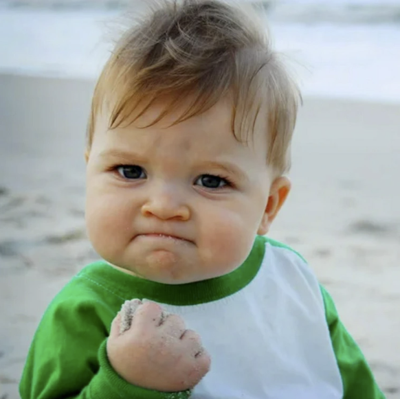 Meme Kind: Success Kid