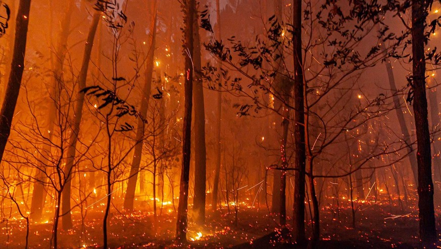 This photo provided by the fire brigade of the Gironde region (SDIS 33) shows a wildfire near Landiras, southwestern France, Sunday July 17, 2022 . Firefighters battled wildfires raging out of control ...