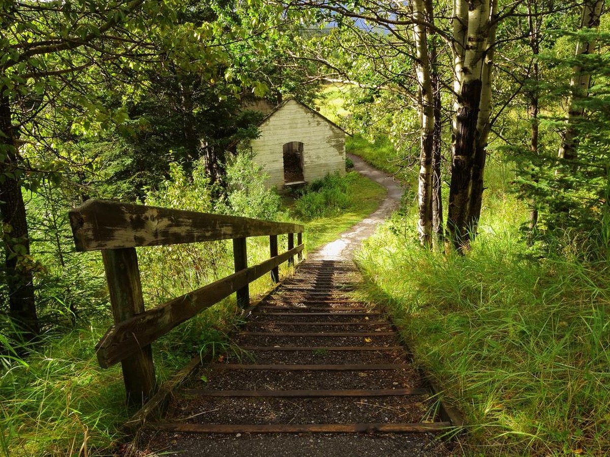 Bankhead, cette ancienne ville minière située au Canada a perdu tout signe de vie en 1922, lorsqu'une grève du travail avait frappé et poussé la mine à une fermeture.