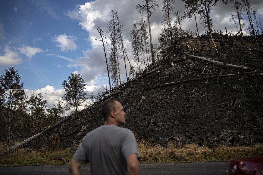 epaselect epa10101883 A Czech firefighter looks on burn site during a forest fire near Hrensko, Czech Republic, 01 August 2022. For the ninth day, Czech firefighters have been battling a fire in the B ...