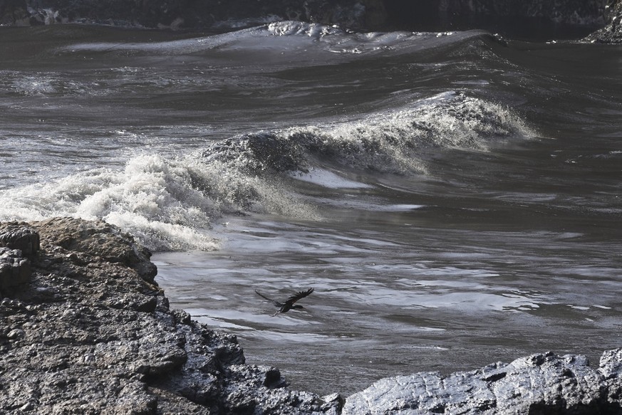 Oil from a spill covers the shore at Cavero beach in Ventanilla, es Callao, Peru, Monday, Jan. 17, 2022. Unusual high waves that authorities attribute to the eruption of the undersea volcano in Tonga  ...