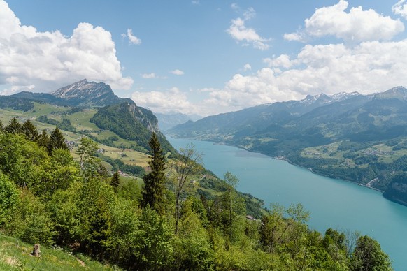 Rauszeit Frühlingswanderungen Schafbett Durschlegi Amden Weesen