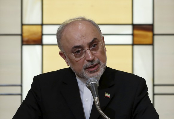 Irans Atomchef Ali Akbar Salehi.