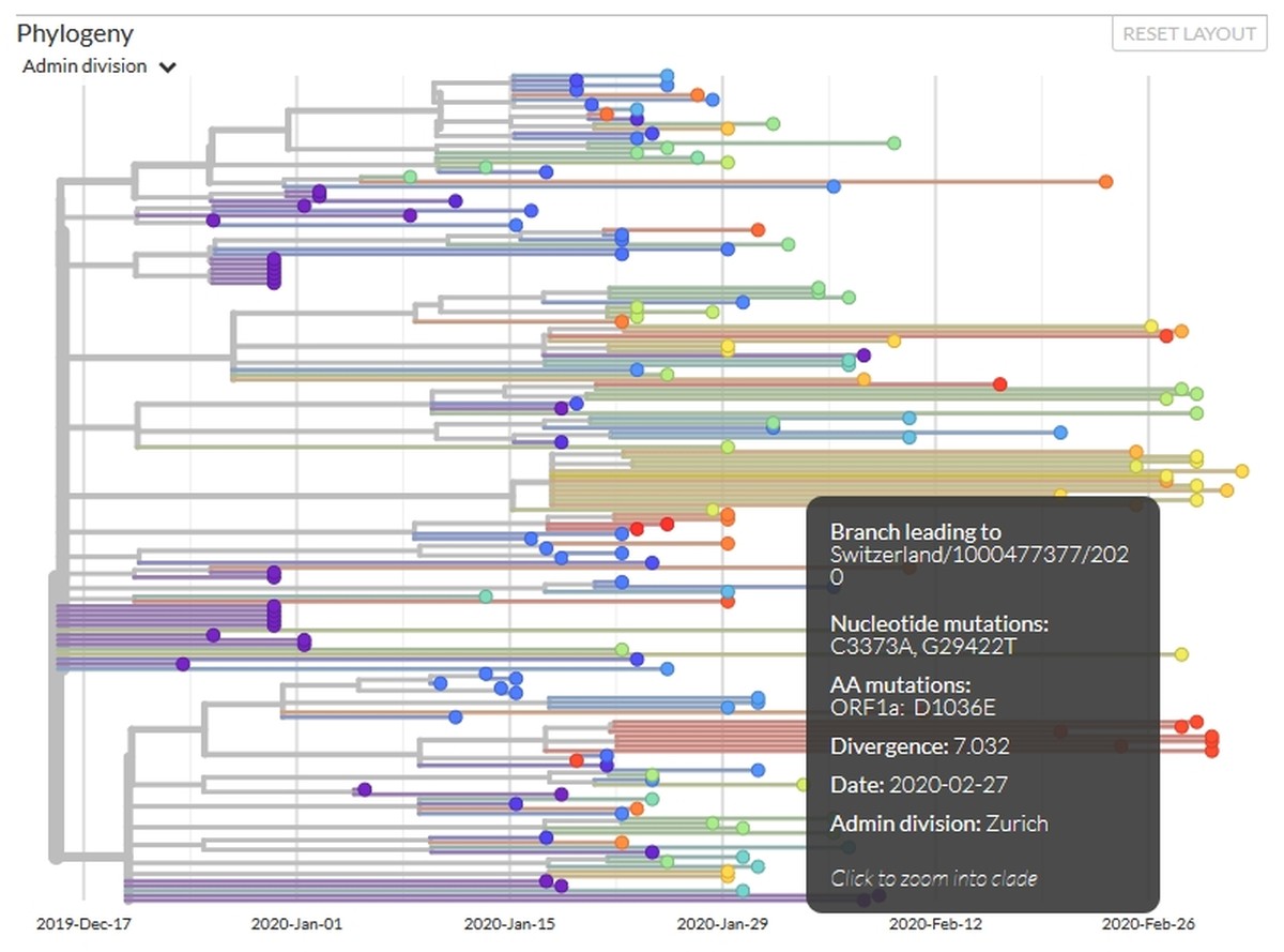 Coronavirus, Screenshot Interaktive Grafik Nextstrain