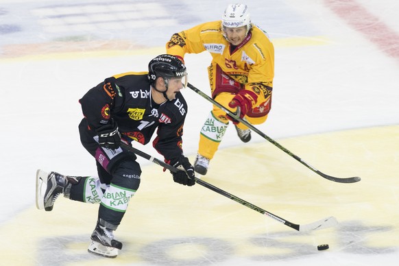SC Bern Stuermer Tristan Scherwey, links, und SCL Tigers Stuermer Sven Lindemann, rechts, kaempfen um den Puck, beim Eishockey Meisterschaftsspiel der NLA zwischen dem SC Bern den SCL Tigers und am Fr ...