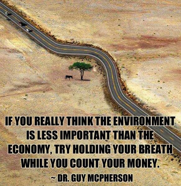 «Wenn du wirklich denkst, die Umwelt sei weniger wichtig als die Wirtschaft, dann versuch doch mal, den Atem anzuhalten, während du dein Geld zählst.»&nbsp;