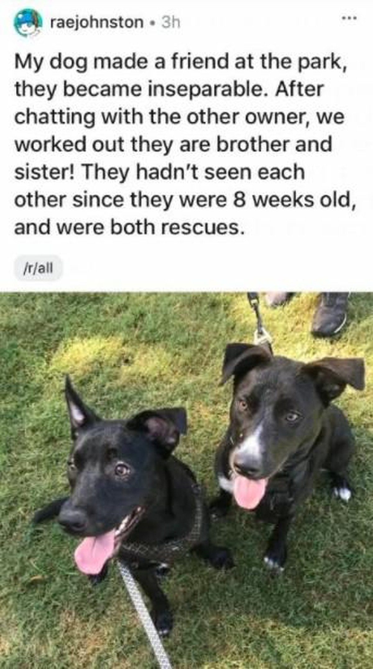 Cute News