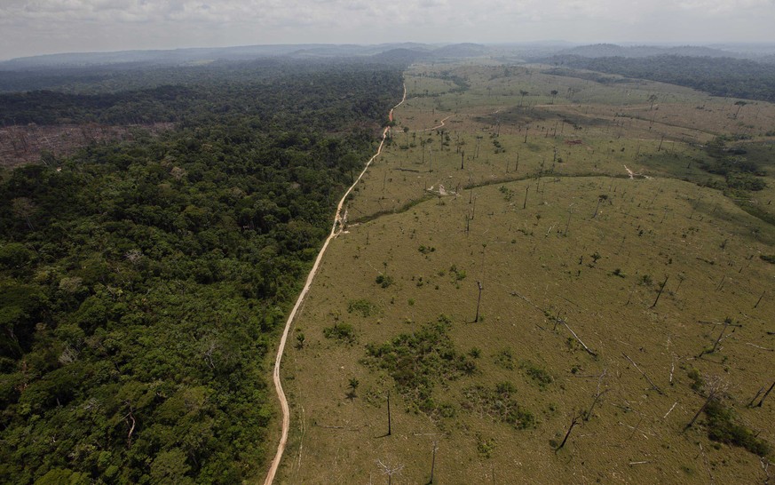 FILE - This Sept. 15, 2009 file photo shows a deforested area near Novo Progresso in Brazil's northern state of Para. Imazon, a non-government group that monitors the Amazon rainforest, said on Monday ...