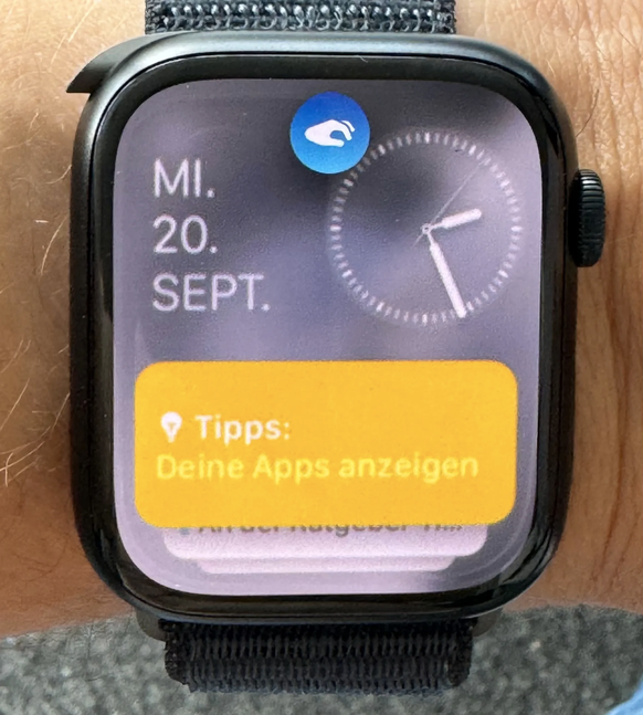 Apple Watch Series 9: Das kleine blaue Symbol am oberen Displayrand zeigt an, dass die &quot;Double Tap&quot;-Geste erkannt wurde.