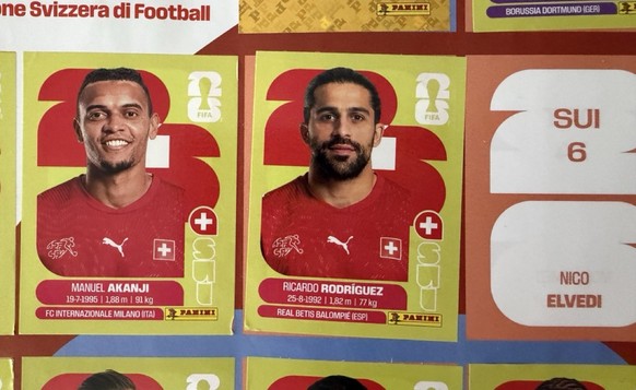 Panini WM 2026