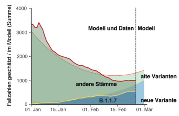 Helle Flächen: Modell. Dunkle Flächen: Tatsächliche Fälle. Gelbe Linie: Abgrenzung der tatsächlichen Fälle.