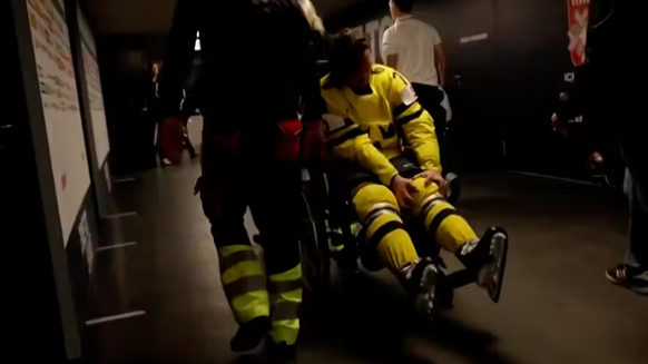 meier sundqvist