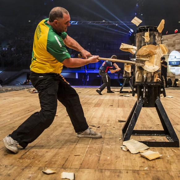 epa04490462 A handout photograph made avaiable by Stihl Timbersports Championship showing a member of Team Australia performing in the team competition of the Stihl Timbersports World Championships at ...