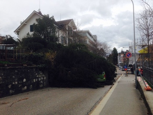 Sturm Niklas, Thalwil, Alte Landstrasse