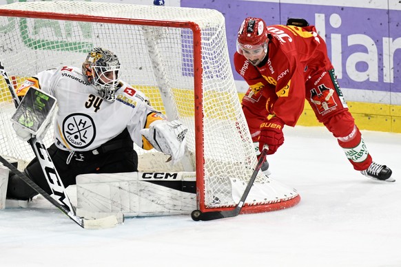 KEYPIX - Tigers Jerome Bachofner, rechts, erzielt das 1:0 gegen Luganos Goalie Niklas Schlegel, links, beim Eishockey-Qualifikationsspiel der National League, zwischen den SCL Tigers und dem HC Lugano ...