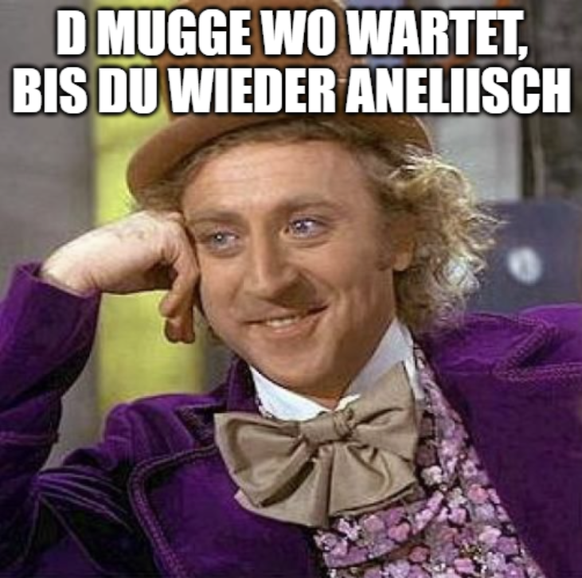 Lustige Mücken Memes