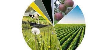 So ist der Boden in der Schweiz verteilt – 5 Grafiken zur Zersiedelungs-Initiative