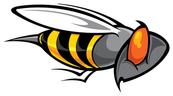 Wespe Mucke Biene Oder Hummel Erkennst Du Wer Der Ubeltater War Spiele Unser Grosses Stich Quiz Watson