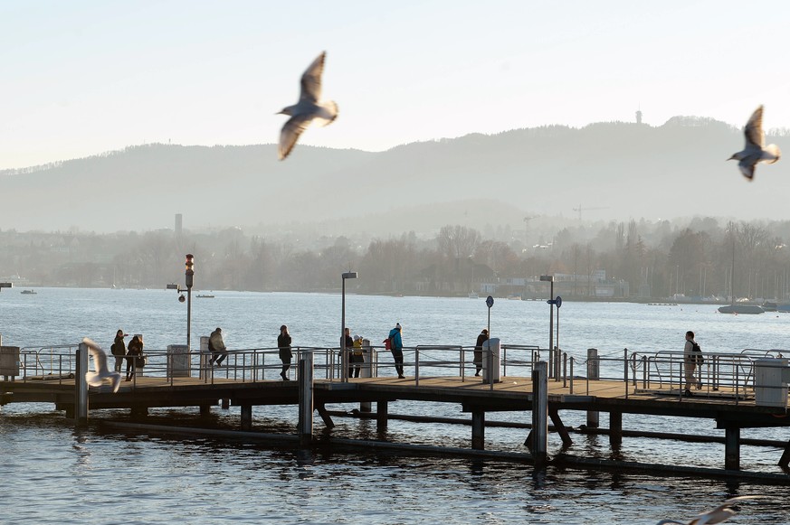 Menschen gehen auf dem Schiffsteg bei Bilderbuchwetter auf und ab, waehrend Moewen in der Luft kreisen in Zuerich am Vorweihnachtstag, am Dienstag, 23. Dezember 2014. (KEYSTONE/Walter Bieri)