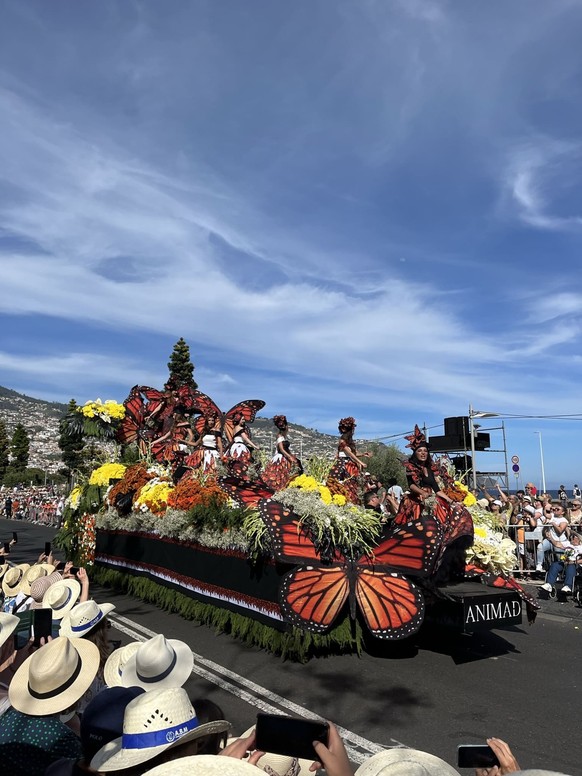 Ein Festwagen am Festa do Flor.