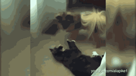 Animiertes GIF