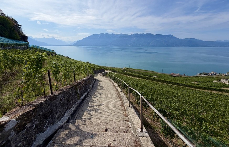 Mont Pèlerin Vevey Lavaux Weinterrassen Epesse Dézaley