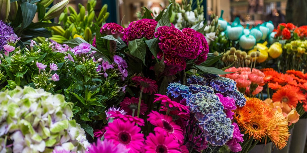 Zum Muttertag werden gerne Blumen verschenkt.