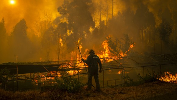 epa12307292 A forest guard works to extinguish a forest fire in Carballeda de Avia, Ourense, Galicia, north-western Spain, 17 August 2025. Multiple blazes continue to affect several provinces in Spain ...