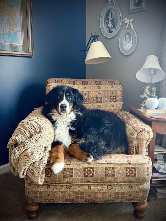 AccidentalRenaissance
Someone suggested I share this here.
https://www.reddit.com/media?url=https%3A%2F%2Fpreview.redd.it%2Fsomeone-suggested-i-share-this-here-v0-nqfkgpne7dlg1.jpeg%3Fwidth%3D1080%26c ...