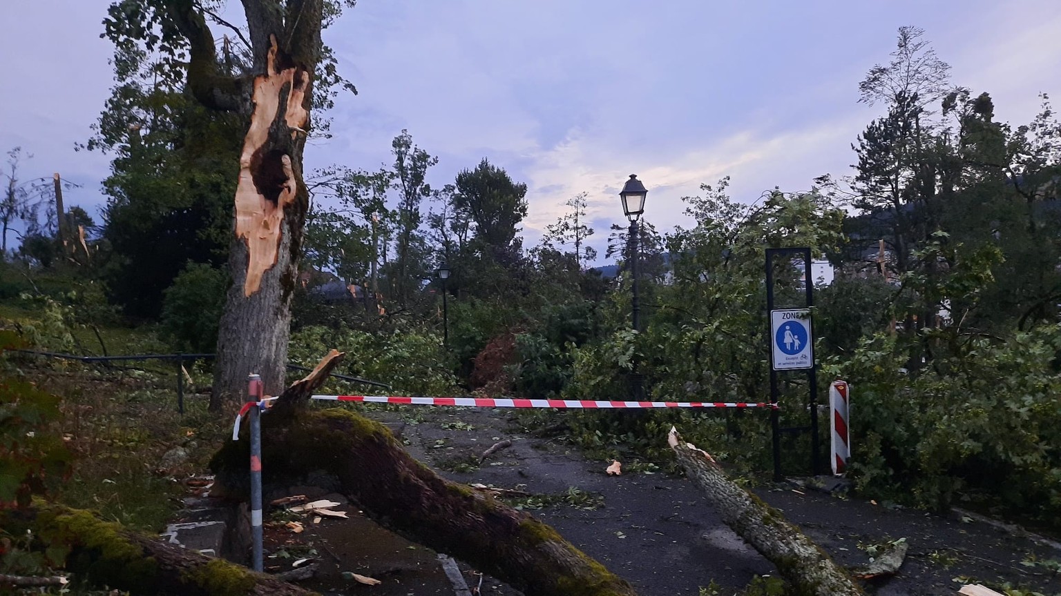 Le Parc de Crêtets à La Chaux-de-Fonds après la tempête du 24 juillet 2023