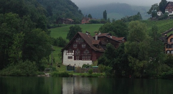 Da weiden Lamas in Werdenberg. Internationales Flair: Check!