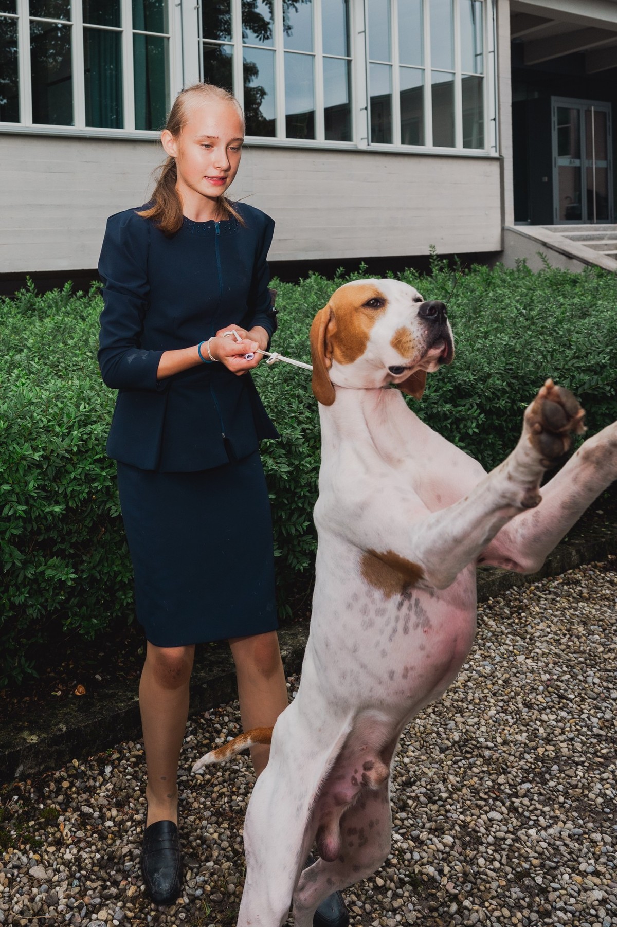 Swiss Dog Show in Luzern
