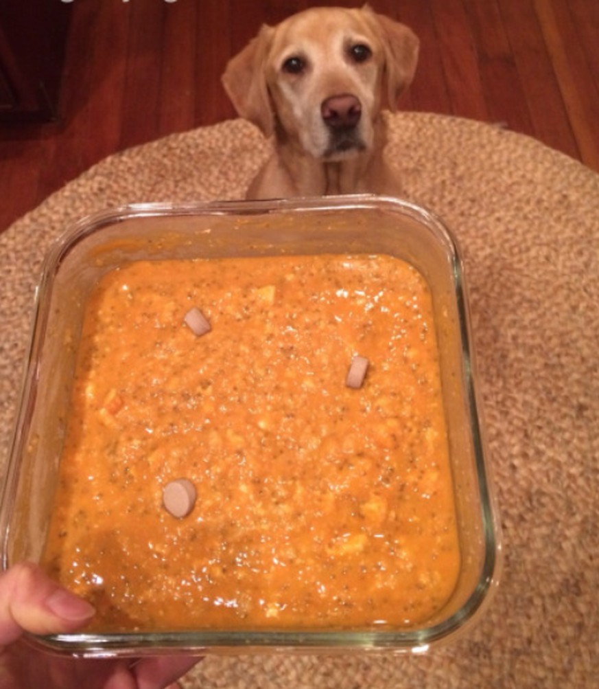 Er gibt seinem Hund veganes Futter – und kassiert dafür einen riesigen Shitstorm
