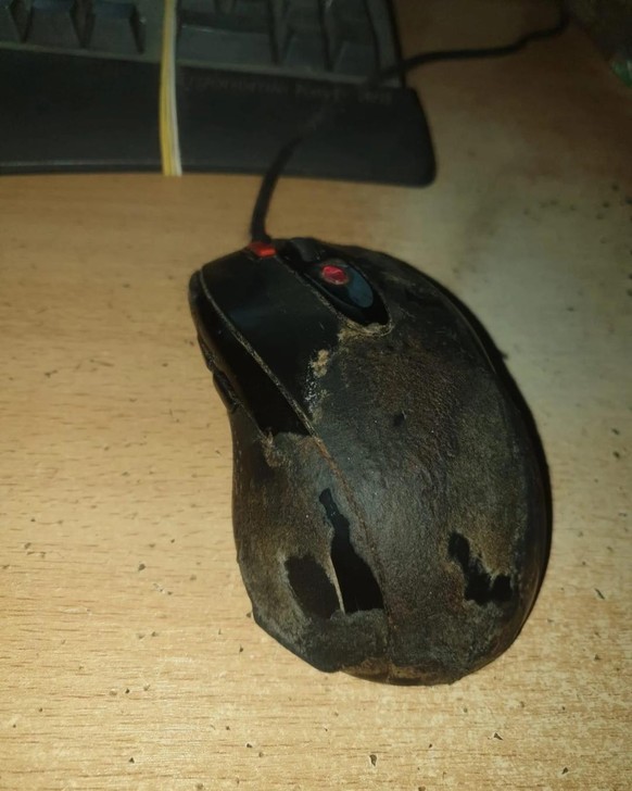 WTF? Skurriles aus dem Internet