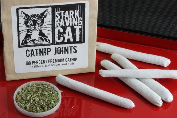 Katzenminze Joints