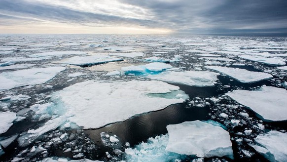 Arctic sea, arctic, arctic, ice floes