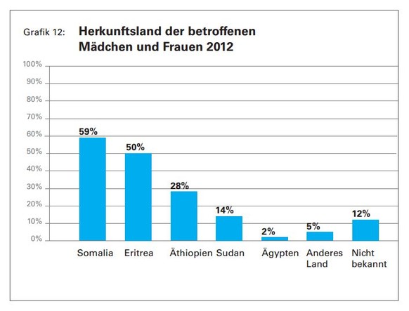 Die Grafik zeigt, welcher Anteil des befragten Fachpersonals beschnittene Frauen aus den genannten Ländern behandelte. Nach wie vor kommen die meisten betroffenen Frauen aus Somalia.&nbsp;<br data-editable="remove">