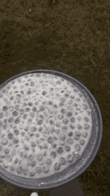 Animiertes GIF