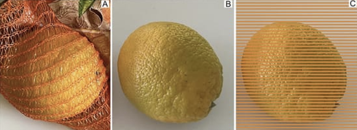 Konfetti-Illusion: Netz macht die Orange attraktiver