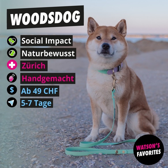 Das vegane Hundehalsband inkl. Hundeleine von Woodsdog.