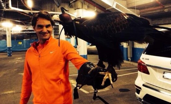Tatort Tiefgarage in Melbourne: Roger Federer ist nach dem Dreisatz-Sieg gegen Jo-Wilfried Tsonga beeindruckt von Adler «Zorro». Für einmal hatte er es nicht auf, sondern neben dem Platz mit «Hawk Eye ...