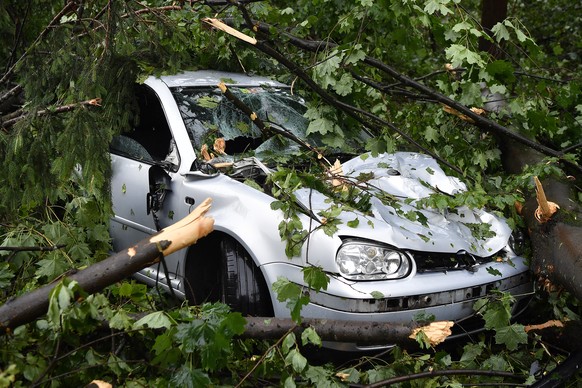 Auto unter Baeumen am Zuercher Kaeferberg am Dienstag, 13. Juli 2021. Heftige Boeen haben in der Nacht in Zuereich schwere Schaeden angerichtet. (KEYSTONE/Walter Bieri)