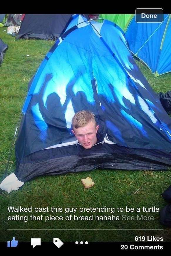 Festival Fails: Mann in Zelt macht auf Schildkröte